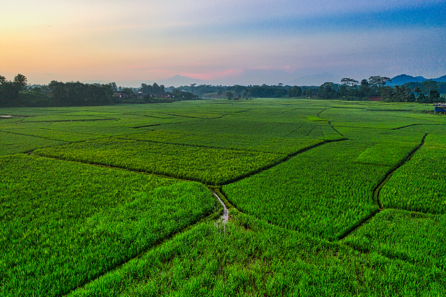 Terenuri de vânzare