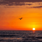 cartierul Tomis Nord Constanta