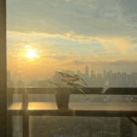 orientare apartament